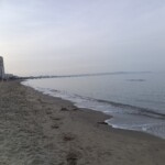 img_20251013_074032_622