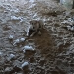 img_20251014_104200_410