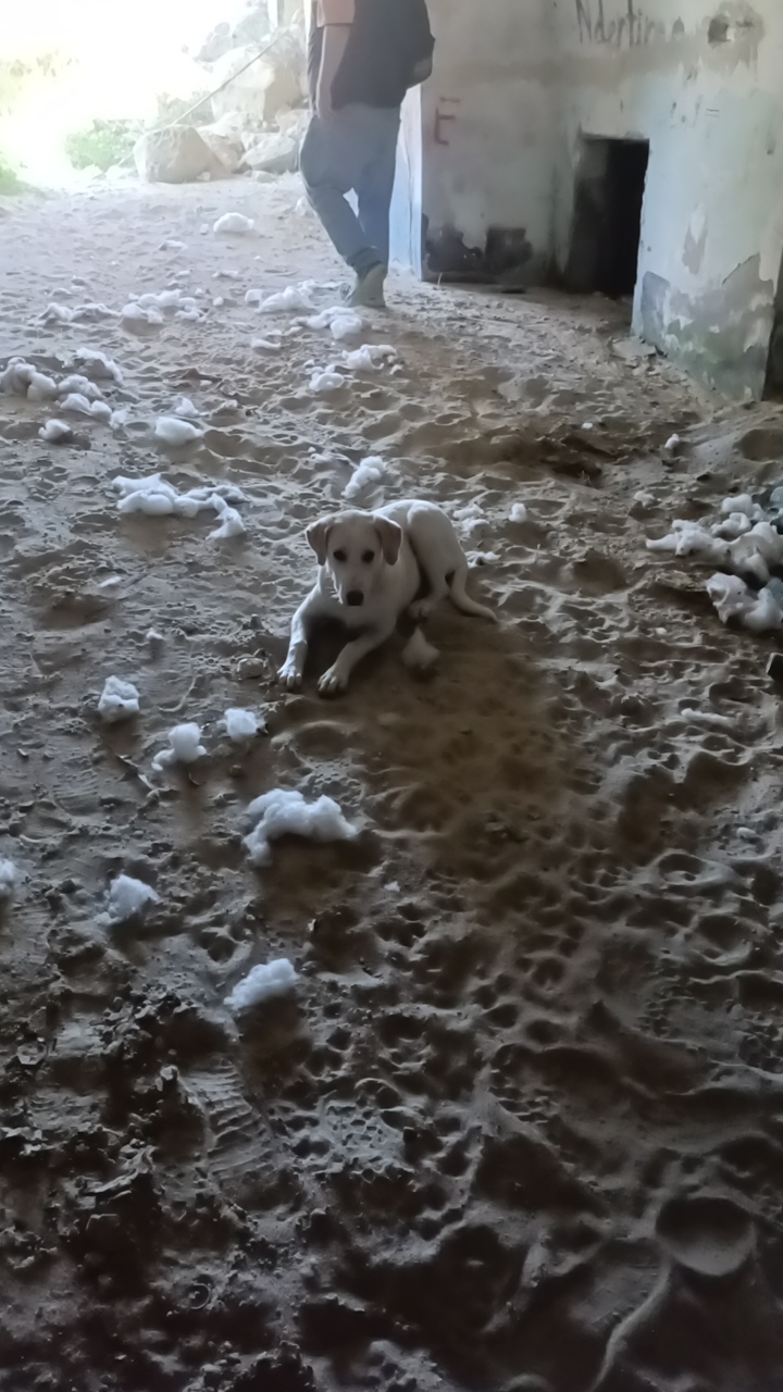 img_20251014_104200_410