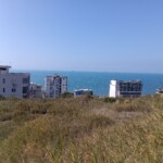 img_20251014_113728_333