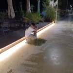 img_20251014_202631_550